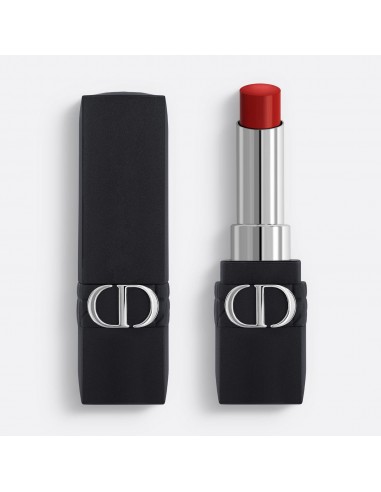 DIOR ROUGE DIOR FOREVER BARRA DE LABIOS 866 TOGETHER 1UN
