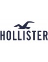 HOLLISTER CALIFORNIA